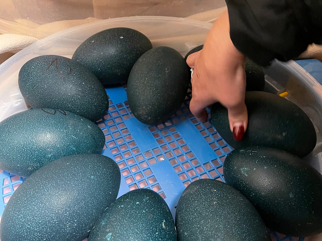 Zoologikós Kípos Kalavrýton-卡拉夫里塔必去景点