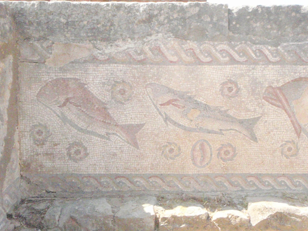 Nucleo Museologico da Villa Romana de Milreu景点图片