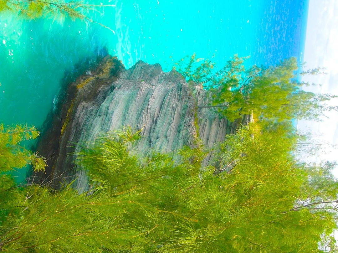 Admiralty House Park-汉密尔顿必去景点