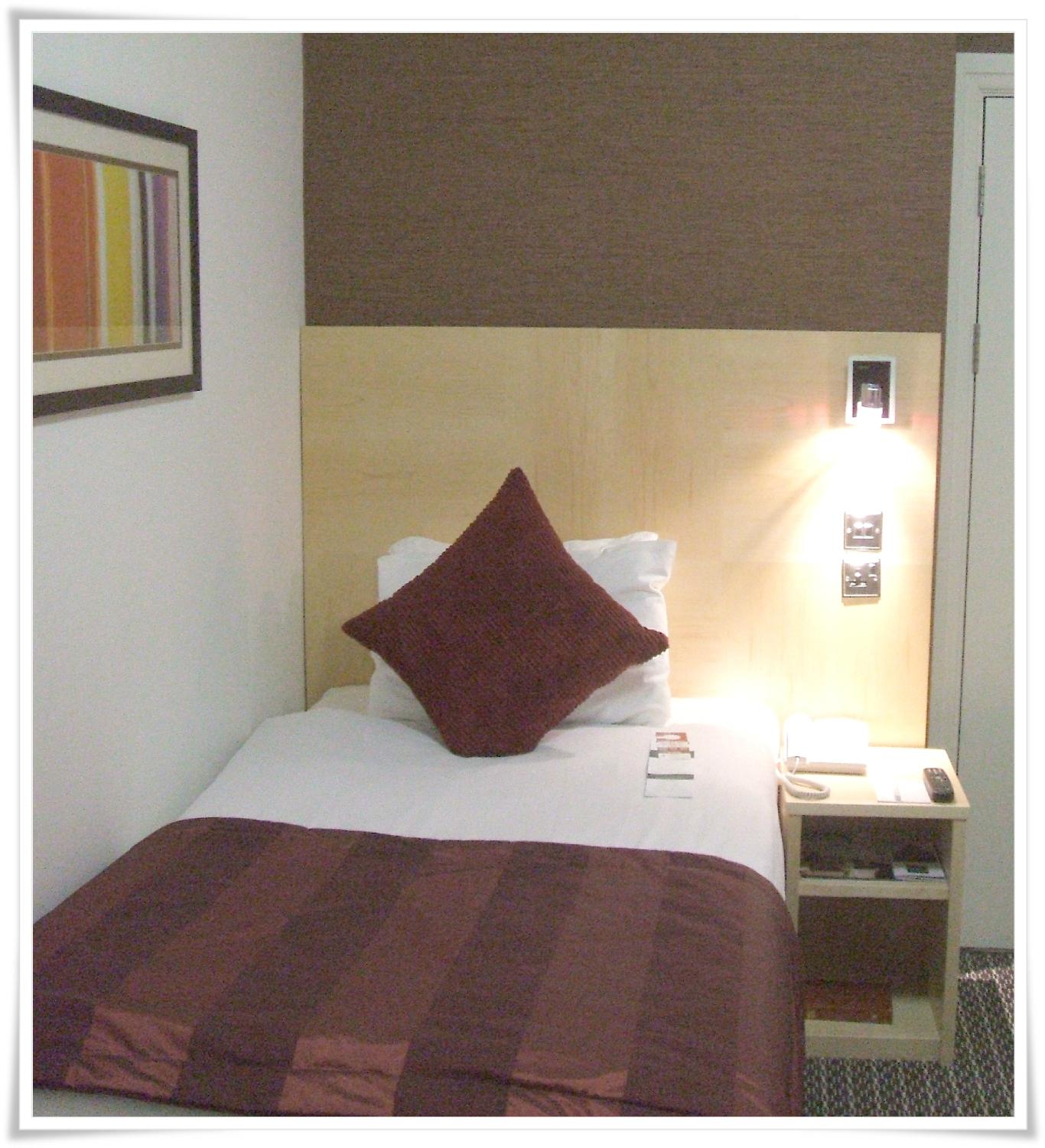 大皇宫酒店-客卧