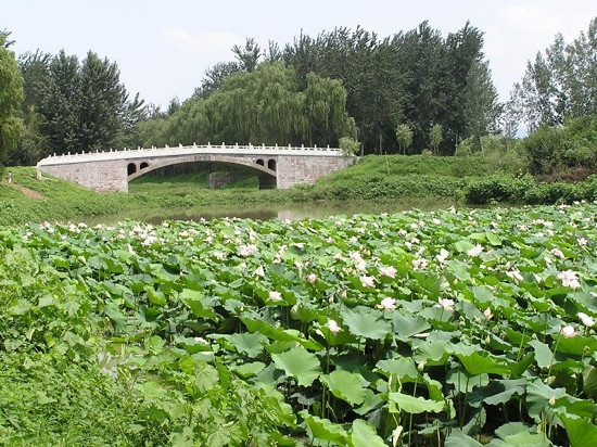 汉石桥湿地自然保护区-北京市必去景点