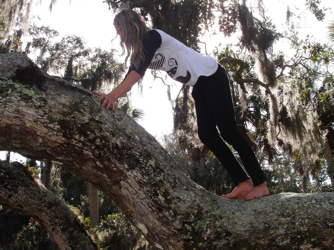 Princess Place Preserve-棕榈海岸必去景点