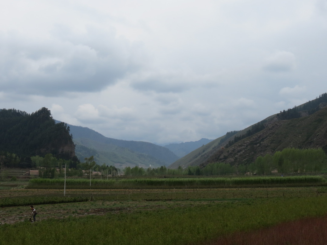 互助北山国家森林地质公园景点图片