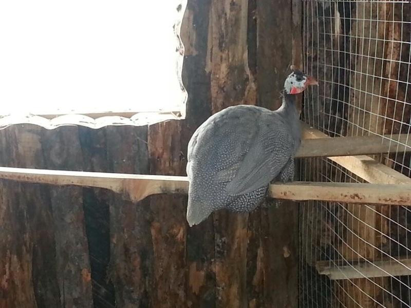 Kadikasy旅游攻略图片