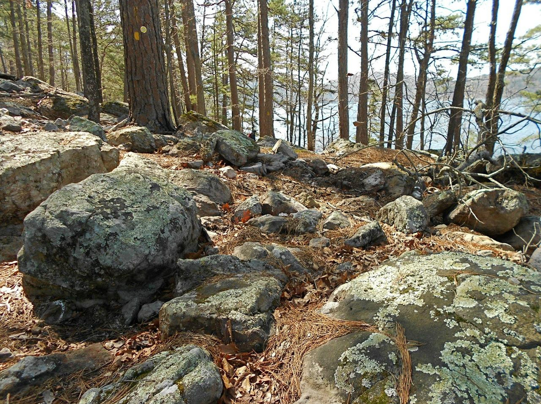 Ouachita National Forest景点图片