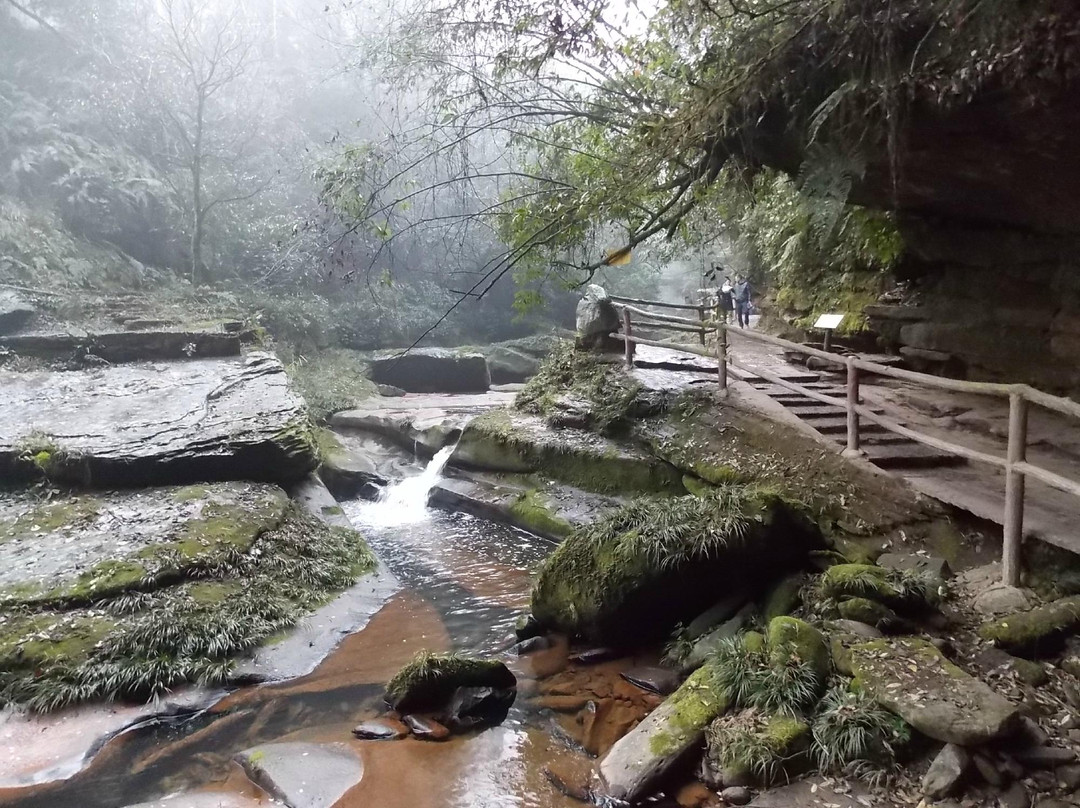 雅安碧峰峡-雅安市必去景点