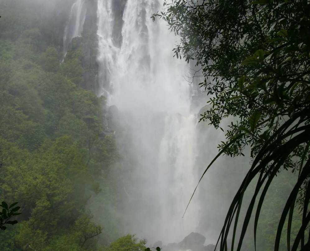 Wairere Falls-Okauia必去景点