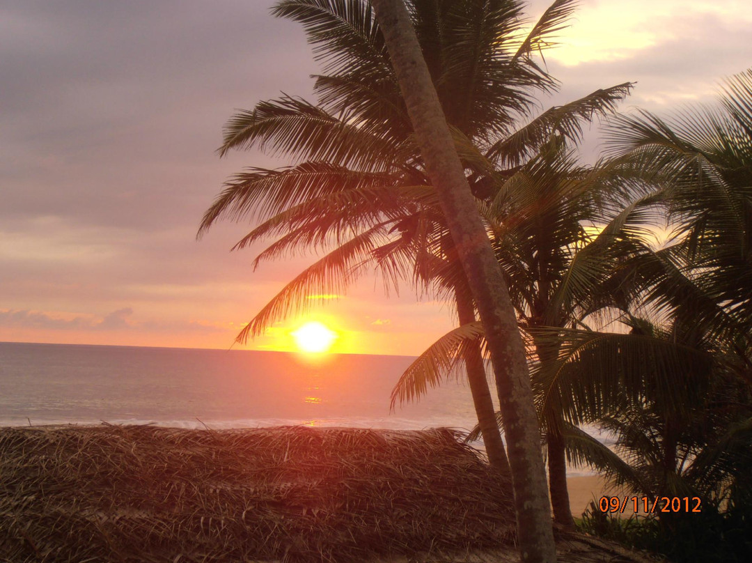 Elite Tours Sri Lanka-Pitiwella必去景点