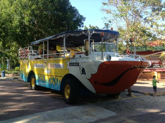 Langkawi Duck Tours- Day Tours景点图片