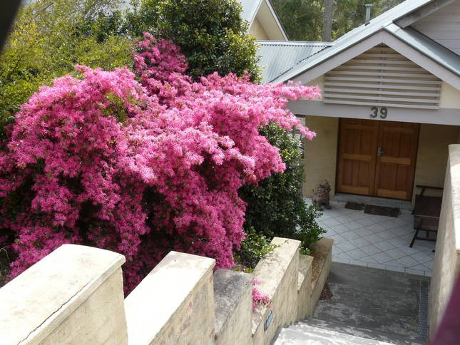 Cedarview Bed and Breakfast主图