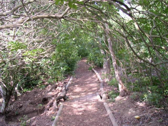Environmental Nature Center景点图片