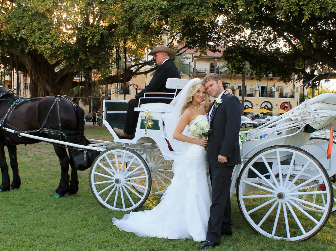 St Petersburg Carriages-圣彼德斯堡必去景点