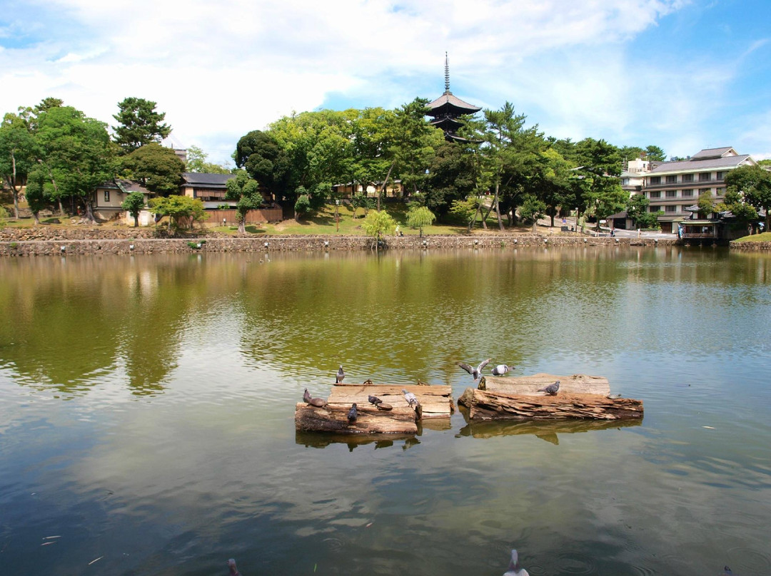 Sarusawa Pond-奈良市必去景点