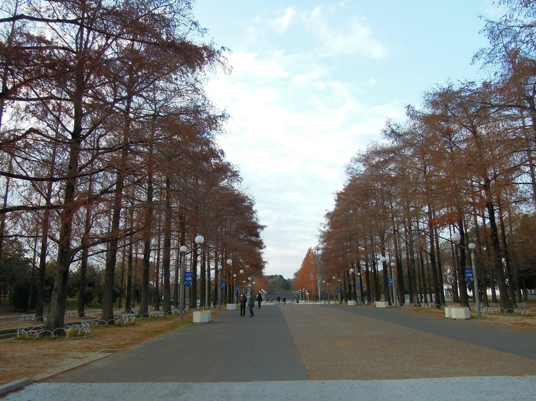 鹤见绿地花博纪念公园-大阪市必去景点