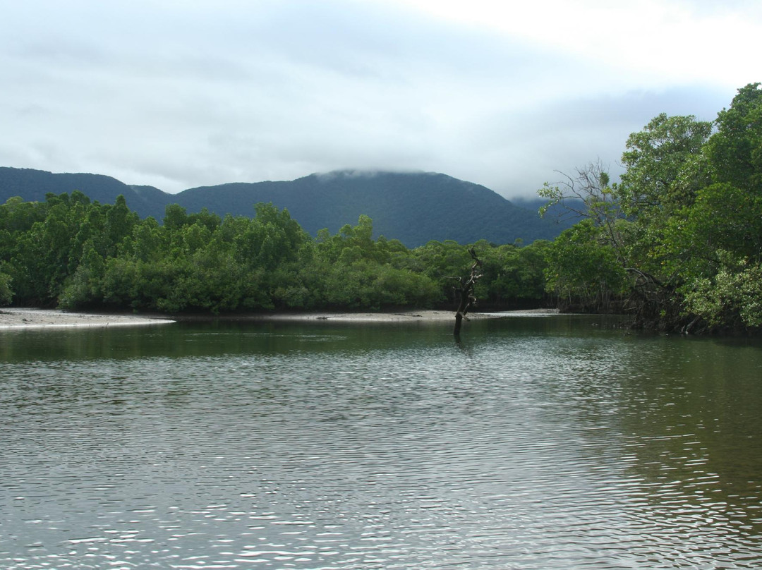 Cape Tribulation Wilderness Cruises-Cape Tribulation必去景点