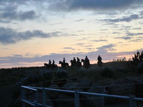 Reykjavik Riding-雷克雅未克必去景点
