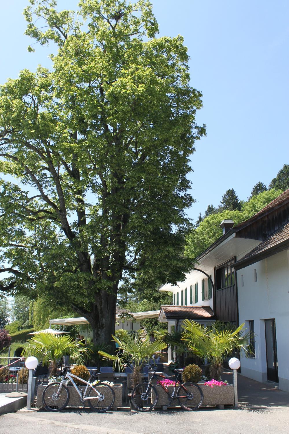 Hotel Restaurant Le Mont-Vully-浴室