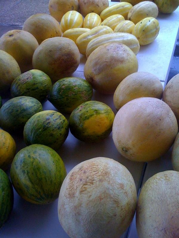 Fredericksburg Farmers' Market-弗雷德里克斯堡必去景点