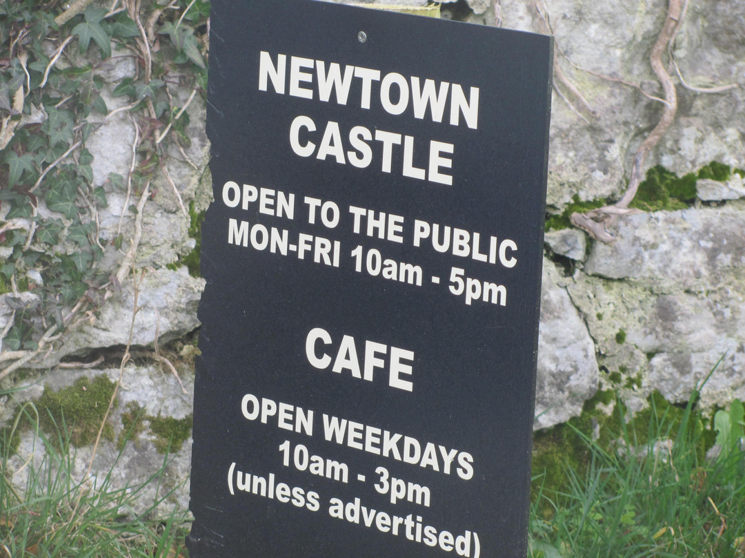 Newtown Castle景点图片