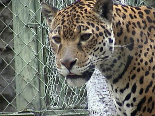 Kharkiv Zoo-哈尔科夫必去景点