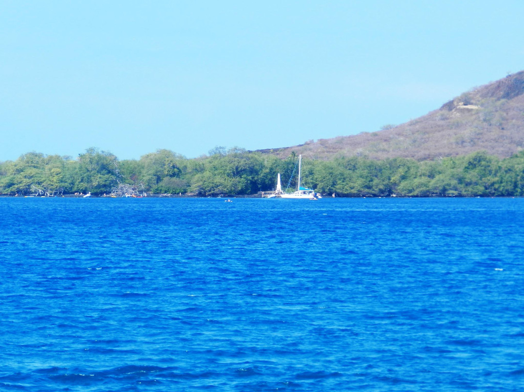 Manini Kapahukapu Beach景点图片