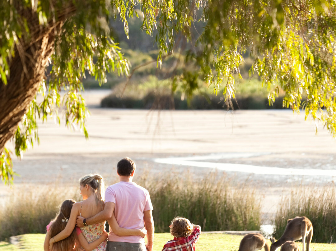 2025年2月Yanchep National Park景点攻略Yanchep National Park门票预订地址图片Yanchep National Park景点点评猫途鹰