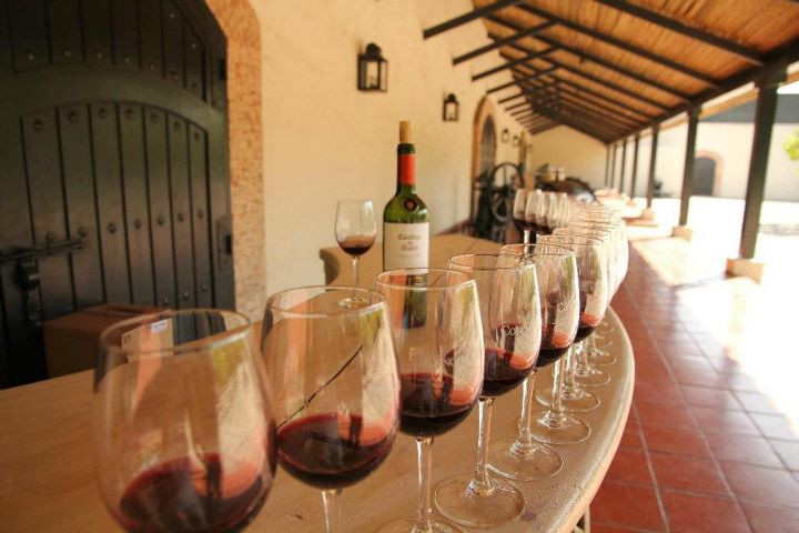 Concha y Toro-Pirque必去景点