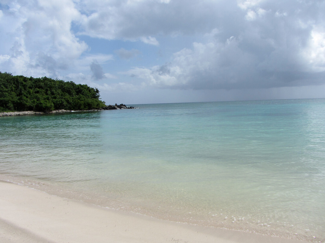 Playa Pata Prieta-Puerto Ferro必去景点