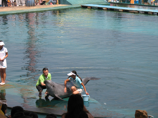 乐岛-秦皇岛市必去景点