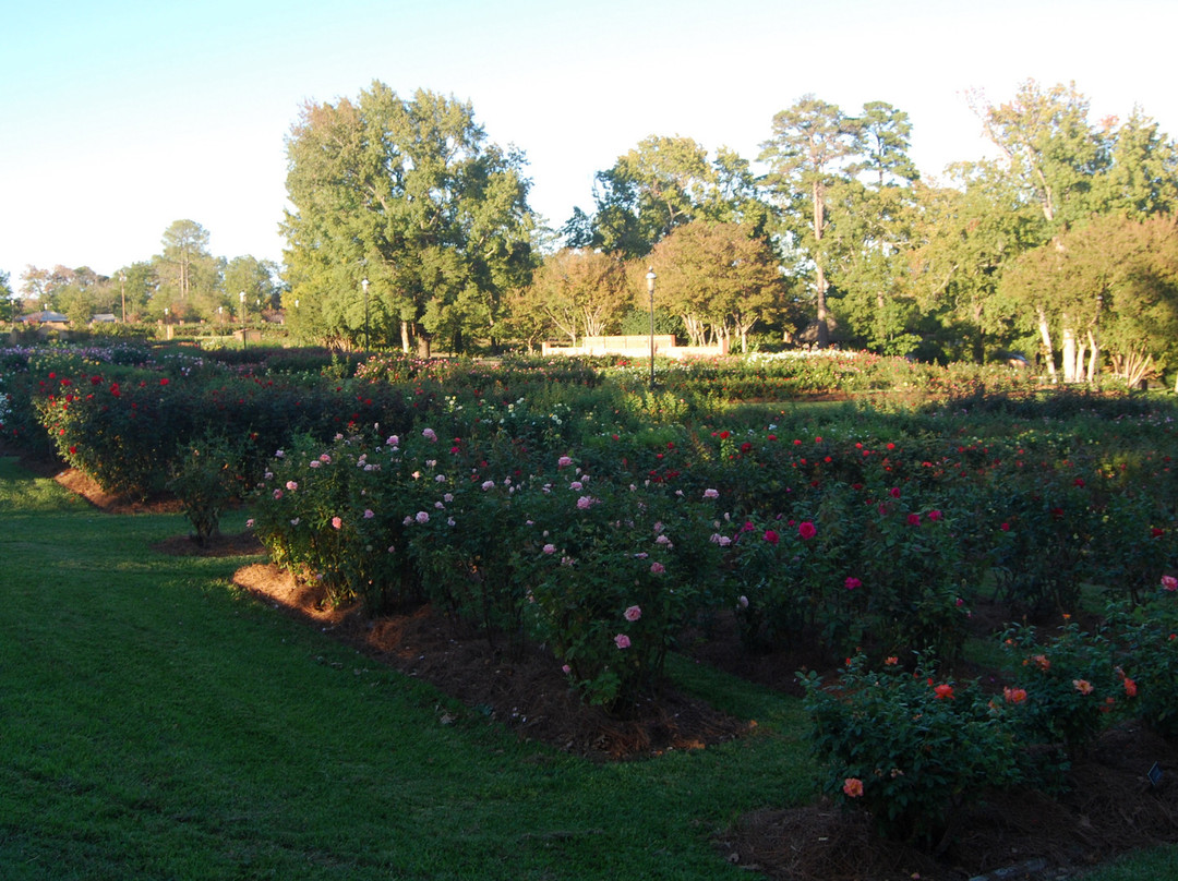 Tyler Rose Garden & Center景点图片