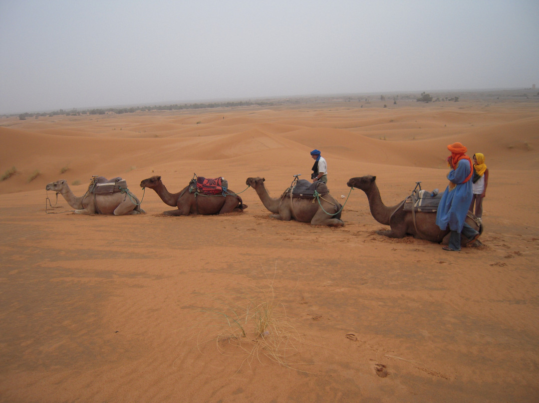 Travel Exploration Morocco Private Tours-瓦尔扎扎特必去景点