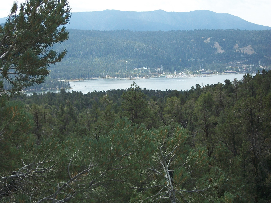 Big Bear Discovery Center-大熊湖必去景点