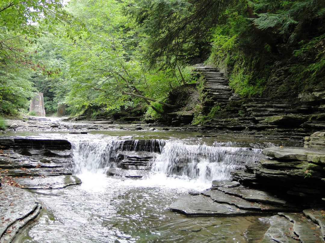 Stony Brook State Park-Dansville必去景点