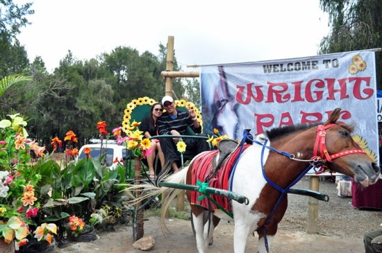 Riding Stable at Wright Park-碧瑶必去景点