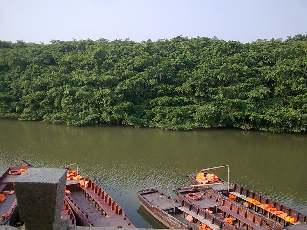 小鸟天堂-江门市必去景点