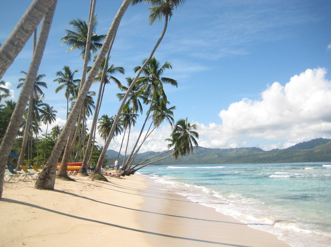 Tour Samana with Terry景点图片