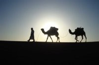 Iguidi Tours-迈哈米德必去景点