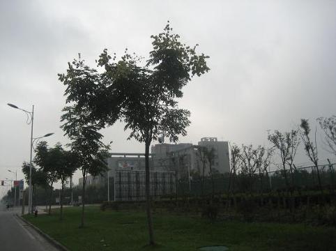 九龙湖宾馆-客卧