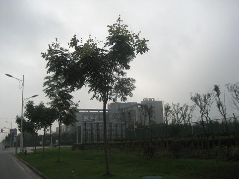 九龙湖宾馆主图