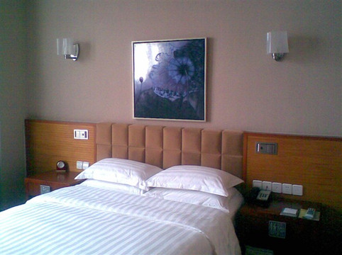 成都绿洲大酒店（春熙路太古里店）主图