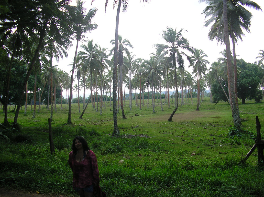 Vanuatu Ecotours-维拉港必去景点