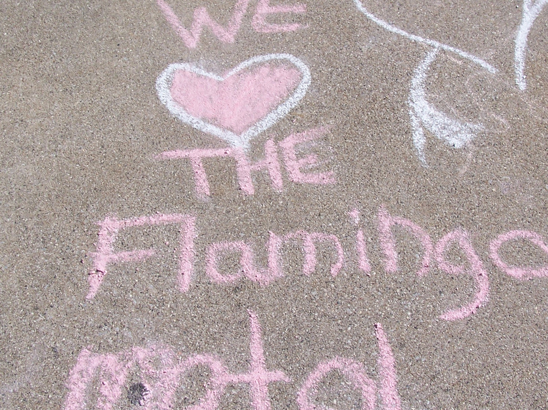 Flamingo Motel主图