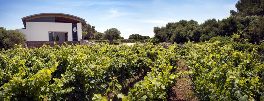Bodegas Binifadet-Sant Lluis必去景点