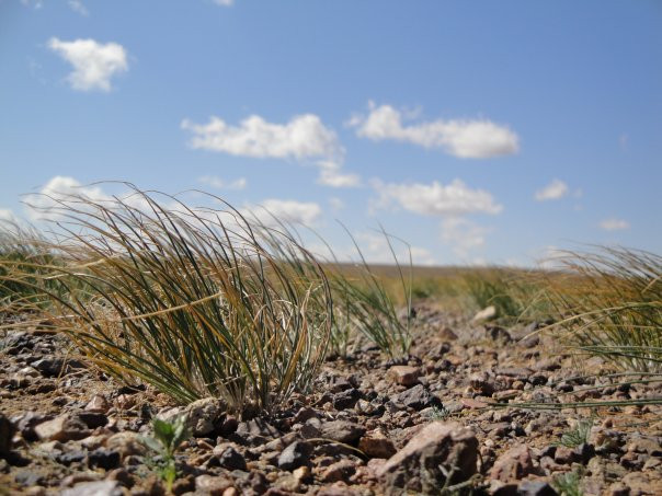 Dalandzadgad旅游攻略图片