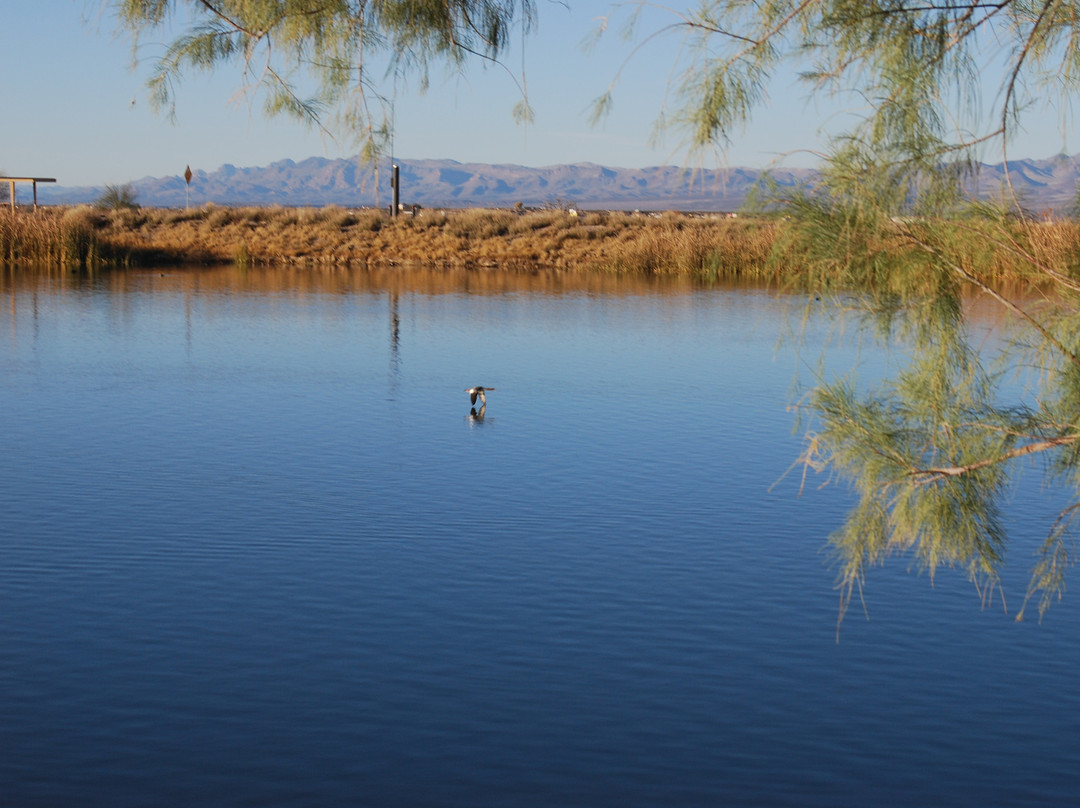 Roper Lake State Park-Safford必去景点