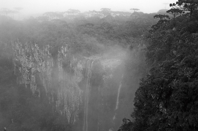 National Park of Aparados da Serra景点图片