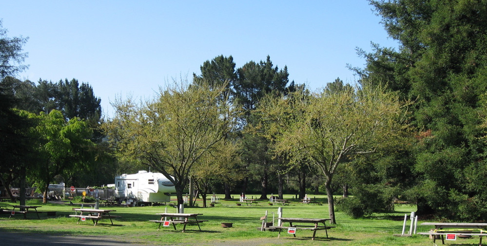 Olema Campground