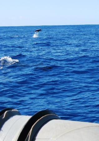 Na Pali Explorer-卡慕也拉必去景点