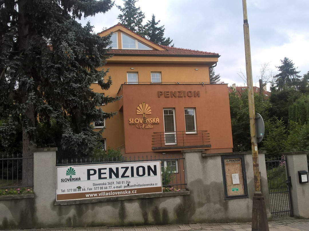 Zelechovice nad Drevnici酒店住宿-Penzion Villa Slovenska