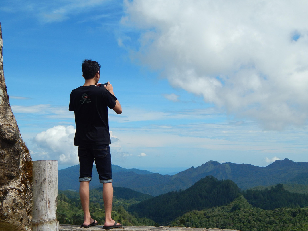Malino Tea Plantation景点图片